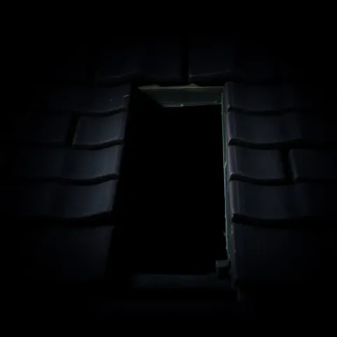 Czy kuna wejdzie pod dachówkę