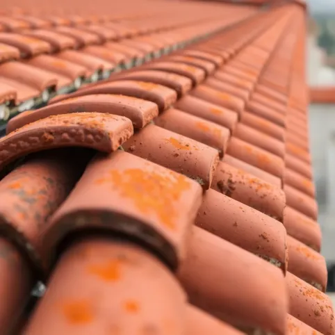 Czyszczenie dachu z rdzy cena