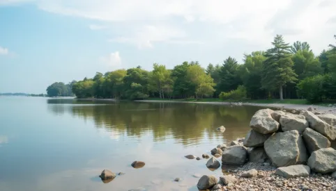 Jak kuna wchodzi na dach