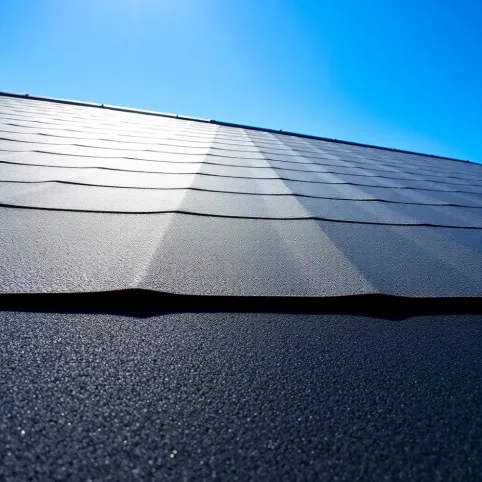 Papowanie dachu cena za m2