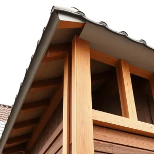 Przekrycie dachu definicja